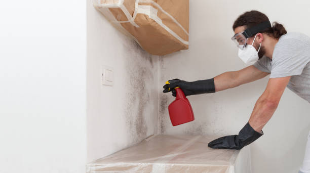 Professional Mold Inspection And Testing technician working in Ashland, MA
